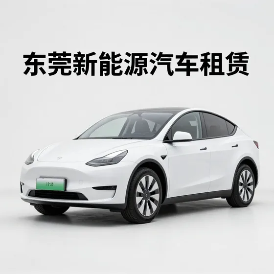 磊尔森行业解析